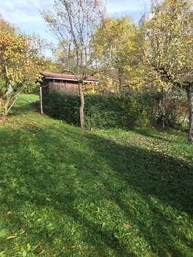 Beispielfoto Garten 1