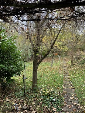 Beispielfoto Garten 2